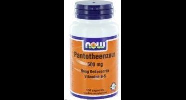 Pantothenic Ac/Pantotheenzuur