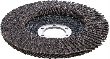 BGS - Slijpschijf - Lamellenslijpschijf - Ontroesten - Ontlakken - Metaal - Ø 115 mm | K 40 - 1 stuks - BGS3970