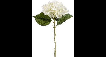 Emerald Kunstbloem hortensia tak - Annabelle - 52 cm - creme - Kunst zijdebloem - Hydrangea