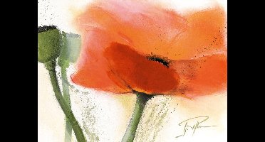 Kunstdruk Gerd Pflumm - Faszination Mohn III 80x60cm