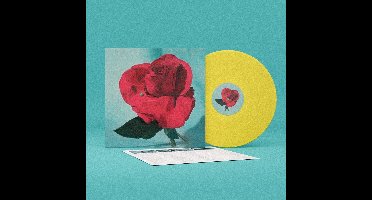 Metz - Up On Gravity Hill (LP) (Coloured Vinyl)