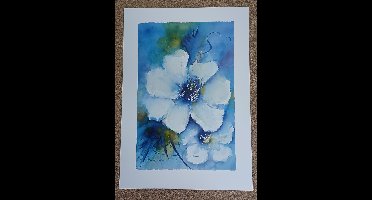 Poster Verkerke Jan Kooistra - white and blue 50 x 70 cm