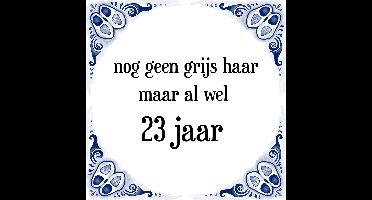 Verjaardag Tegeltje met Spreuk (23 jaar: Nog geen grijs haar, maar al wel 23 jaar + cadeau verpakking & plakhanger
