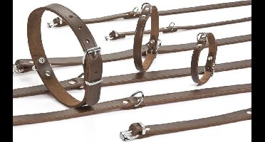 halsband - Bruin 32x10