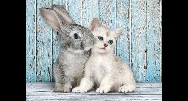 Clementoni - Puzzel - 500 stukjes - Kitten en konijn - High Quality Series