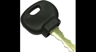 Vetus 209 Reserve Motor Sleutel Zilver