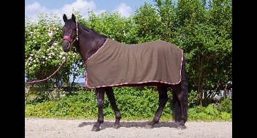 Kerbl Paardendeken Economic - bruin - 135 cm