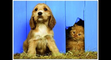 Educa Ik waak hier - 500 stukjes