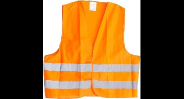 Dunlop Veiligheidshesje Oranje One Size