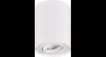 TRIO COOKIE - Plafondlamp - Wit mat - excl. 1x GU10 35W