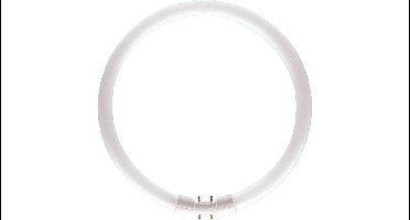 Philips Master TL5 Circular 22W/840 2GX13