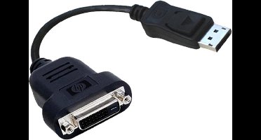 HP 481409-001 – DisplayPort naar DVI-D Dual-Link Adapterkabel – 20 cm – Zwart