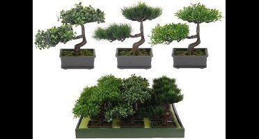 Kunstboompje bonsai set van 2