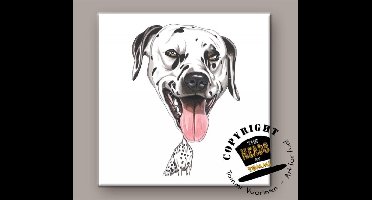 Tegel Hond Dalmatier