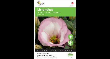 Buzzy® Lisianthus mini rose