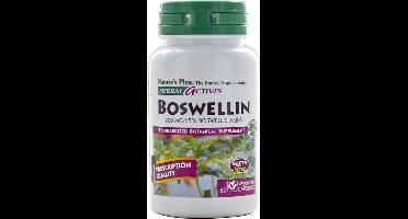 Herbal Actives - Boswellin 300 mg (60 Vegetarian Capsules) - Nature's Plus