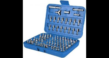 Bitset 100 delig 1/4"