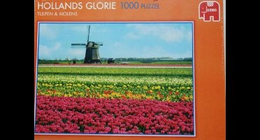 Jumbo Puzzel Hollands Glorie Tulpen en Molens - Legpuzzel - 1000 stukjes