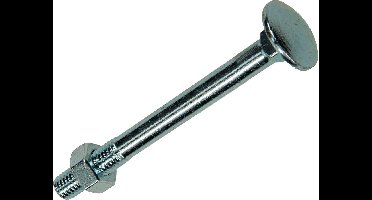 Houtbout met moer M10 120mm verzinkt 10 stuks