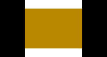 Folia Tekenpapier goud 50X70/130G