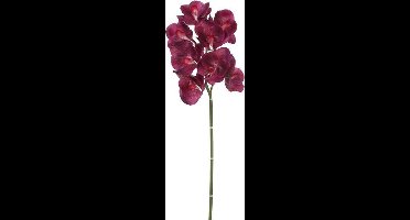 Mica Decorations orchidee maat in cm: 75 paars