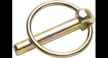 Borgpen 8x45 - DIN11023- 4 stuks