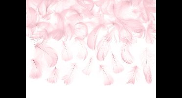 Partydeco - Decoratieve veren roze