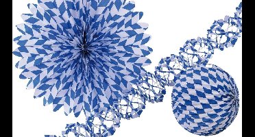 RIETHMULLER - Blauw-wit versiering set