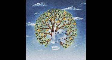 Life Was Coming In Through The Blin