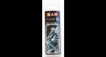 12x SAM Zelfborende schroef zeskant kop F1 816102
