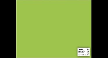 APLI  Lichtgroen Karton 50 x 65 cm 170 g/m² - 25 vel