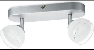 PROLIGHT opbouwspot BITTI - 2-L – 2X3W - 450 lumen - geïntegreerde lamp - staal met glas