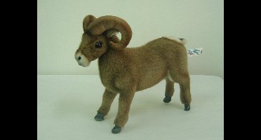 Dikhoornschaap Knuffel, Hansa