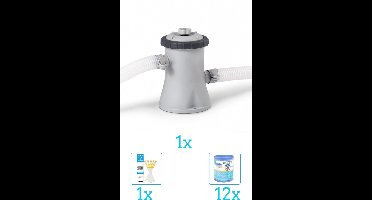 Intex 28602GS Filterpomp - 1.250 liter per uur inclusief Filter (12 stuks) - Testrips