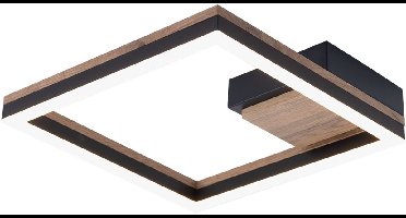 Plafondlamp BEATRIX 12 Watt Matt zwart 1-Lichts zwart - Vierkant