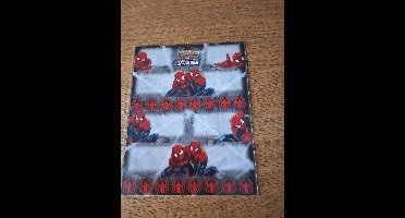 Spiderman 8 schooletiketten
