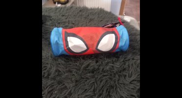 Pennenzak Spider-Man