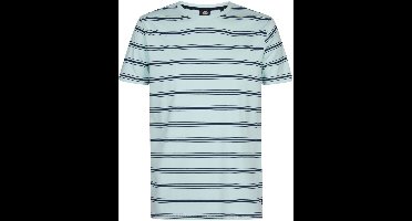 Petrol Industries T-shirt T Shirt Met Streeppatroon M 1060 Tsr120 6181 Cool Mint Mannen Maat - M