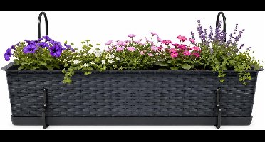 Prosperplast plantenbak Buster - antraciet - rechthoek - met twee ophangbeugels - 70 x 17 x 15 cm - kunststof - bloembakken - potten