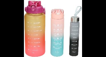 Set Drinkflessen 270ml, 650ml en 1800ml