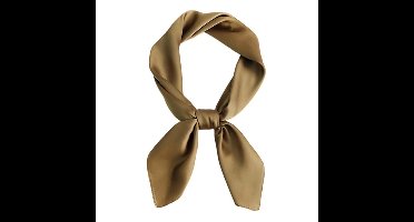 Effen vierkante damessjaal, ademende lichtgewicht sjaal, hoofdband, multifunctionele modieuze imitatiezijden sjaal voor bandana's, haarbanden, nekbanden, taillebanden en als shirtdecoratie, 70 x 70 cm, Grasgroen