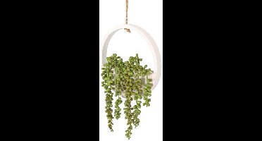 Kunstmatige succulenten hangplanten - Nep String of Pearls hangplanten met een koord - Decoratieve hangplant voor binnen en buiten, wanddecoratie