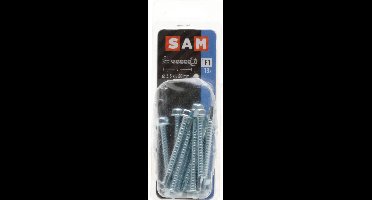 13x SAM Zelfborende schroef met zeskantkop F1 816100