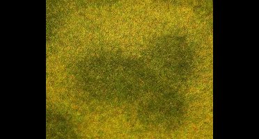 Faller - PREMIUM Landschaps-segment, Wei, licht