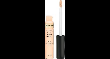 Max Factor Facefinity All Day Flawless 20 Light  Concealer