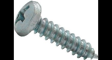 Spaanplaatschroeven Cilnderkop Pozidriv Verzinkt 4.2x38mm