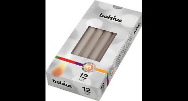 Bolsius Gotische kaarsen 12 stuks 245/24 kleur Grijs