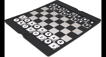 Reisschaak Etui magnetisch 20x17cm
