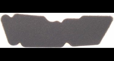 DMP Luchtfilter element Piaggio DNA, Fly, Ice, Runner, Zip2000