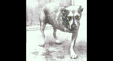 Alice In Chains